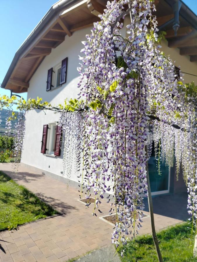 Agritur Lavanda Nave San Rocco Exterior foto